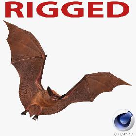 Bat Rigged for Cinema 4D